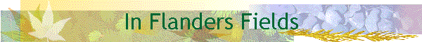 In Flanders Fields