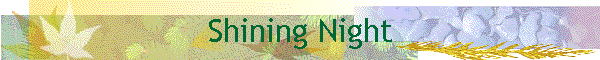 Shining Night