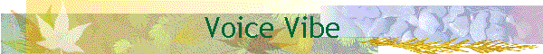 Voice Vibe